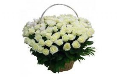 basket white roses4